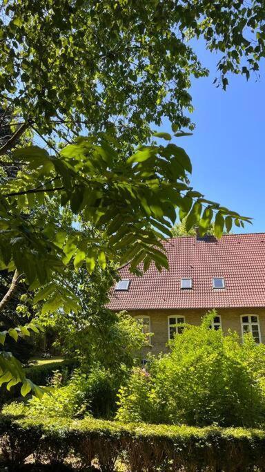 Idyllisches Appartement Nahe Ostsee Und Schlei Rabenkirchen-Faulück Exterior foto